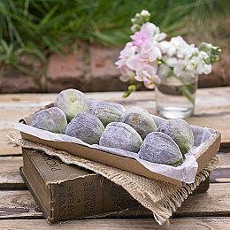 可爱俯视角射击游戏《AK蝾螈大作战》发售宣传片